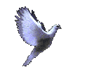 paix
